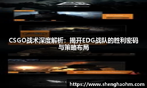 星空·综合体育官方网站